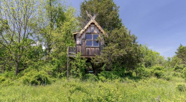 Spirithouse Treehouse Is A Magical Place In New York That You Thought Only Existed In Your Dreams