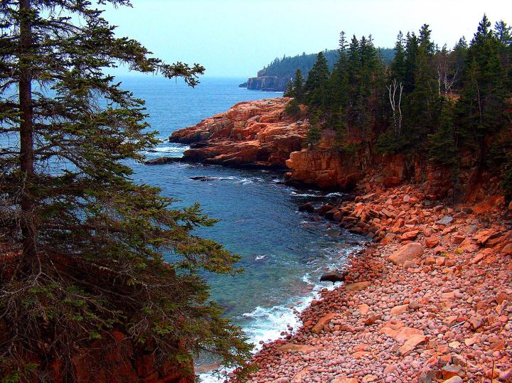 the cove in Acadia National Park