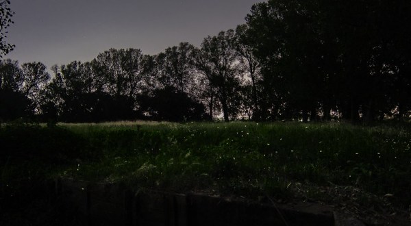 This Firefly Phenomenon In Indiana Will Enchant You In The Best Way Possible