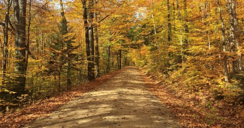 A Multi-Use Trail Runs Through This New Hampshire Town And It's The Ultimate Outdoor Playground