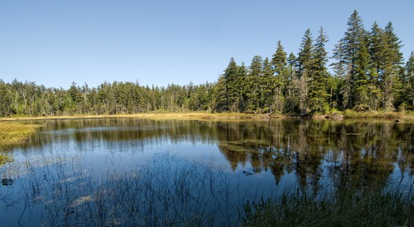 Perhaps The State’s Best Hidden Treasure, Hardly Anyone Knows This Tiny Lake Exists In New Hampshire