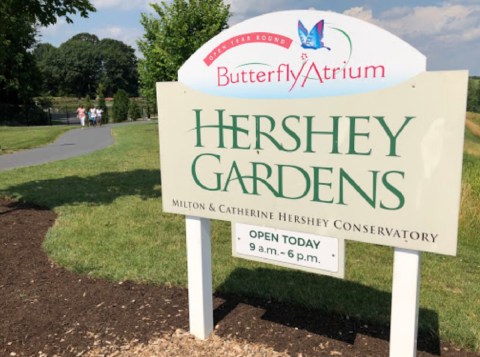 The Little-Known Atrium In Pennsylvania Where, If You're Patient Enough, You Can Hold Butterflies