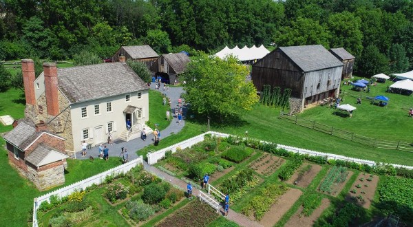 Burnside Plantation In Pennsylvania Transforms Into A Blueberry Wonderland Each Year