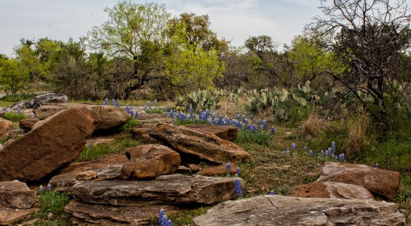 10 Incredible Hikes Under 5 Miles Everyone Around Austin Should Take