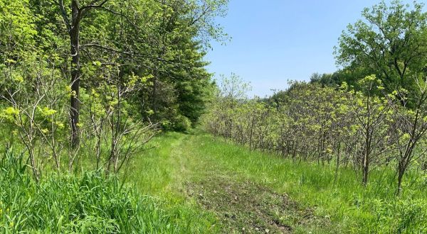 In Honor Of National Trails Day, A Brand-New National Hiking Trail Has Been Designated In Wisconsin