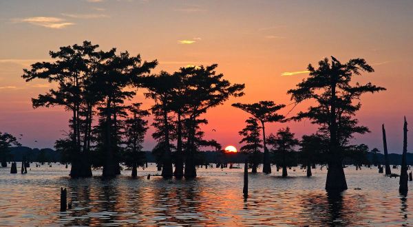 Take A Sunset Boat Ride Through The Atchafalaya For A One-Of-A-Kind Moonlit Adventure