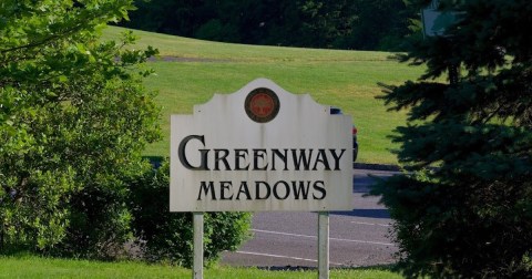 This Greenway Meadows In New Jersey Are One Of The Best Places To View Summer Wildflowers