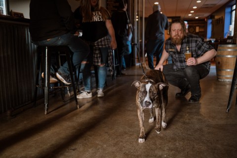 dog-friendly brewery in Darien, Illinois