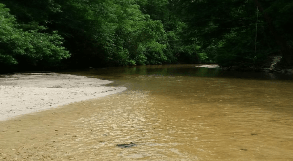 This Hidden Swimming Hole With A Rope Swing In Louisiana Is A Stellar Summer Adventure