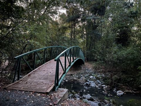 18 Best Hikes in Louisiana: The Top-Rated Hiking Trails to Visit in 2024