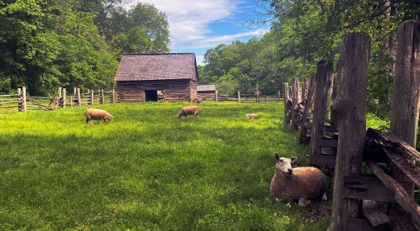 Step Back In Time, This Small Town 1850s Farm In Tennessee Is A True Hidden Gem