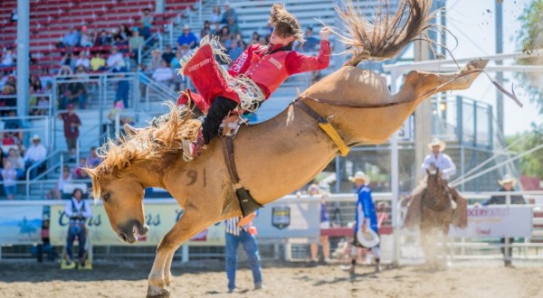 Get Ready For A Rootin’ Tootin’ Weekend Of Rodeo Fun At The Annual Omak Stampede In Washington