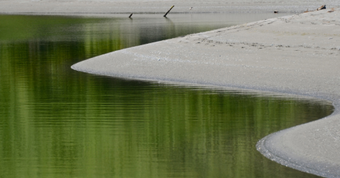 You May Not Want To Swim In These 8 Northern California Lakes This Summer Due To A Dangerous Discovery