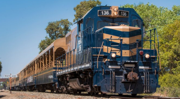 4 Incredible Northern California Day Trips You Can Take By Train