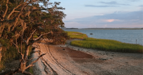 Few People Know There's A Natural Wonder Hiding Near This Tiny South Carolina Town