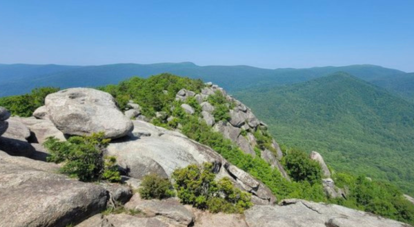 18 Best Hiking Trails In Virginia: The Top-Rated Hiking Trails To Visit In 2024