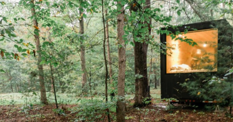 Getaway And Unwind Surrounded By Nature In The Virginia Forest