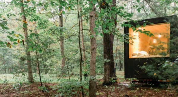 Getaway And Unwind Surrounded By Nature In The Virginia Forest