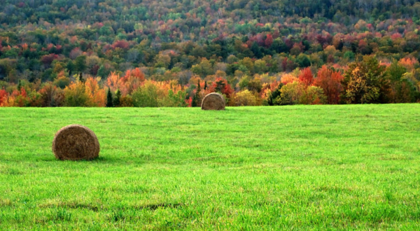 16 Reasons Why You Should Never, Ever Move To Vermont