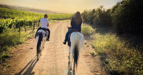 Take An Unforgettable Tour Of Southern California Wine Country On Horseback