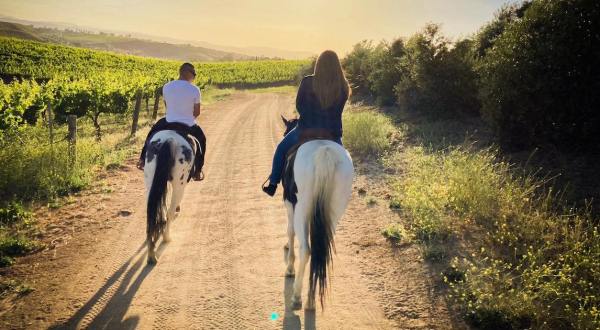 Take An Unforgettable Tour Of Southern California Wine Country On Horseback