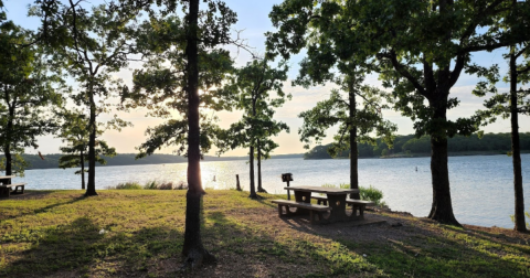 This Oklahoma Lake And Campground Is One Of The Best Places To View Summer Wildflowers