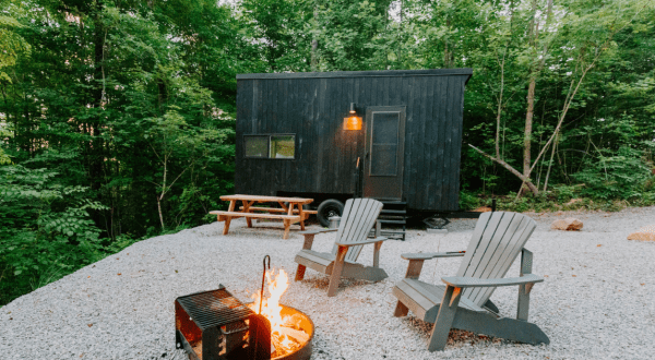 Getaway And Unwind Surrounded By Nature In The Texas Forest