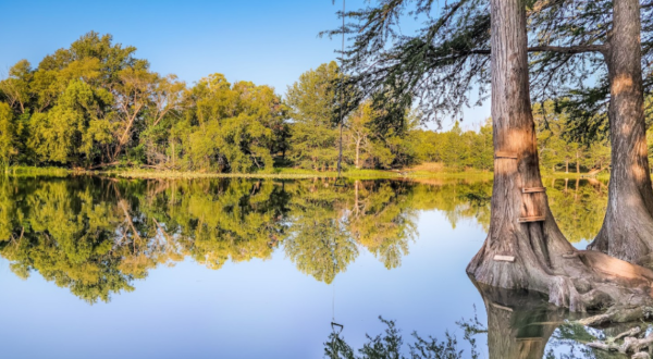 This Hidden Swimming Hole With A Rope Swing In Texas Is A Stellar Summer Adventure