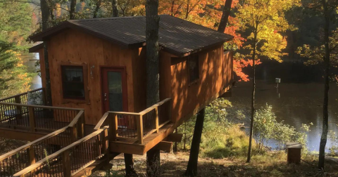 Enjoy A Forested Glamping Adventure Under The Trees At This Michigan Spot