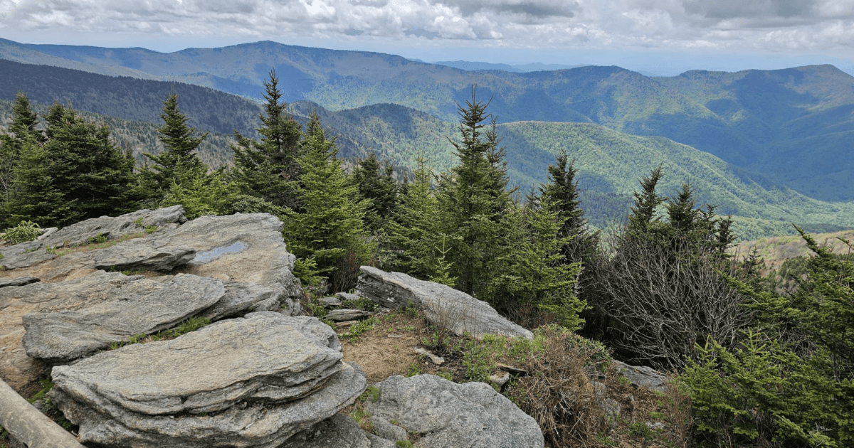 18 Best Hikes In North Carolina: The Top-Rated Hiking Trails To Visit In 2024