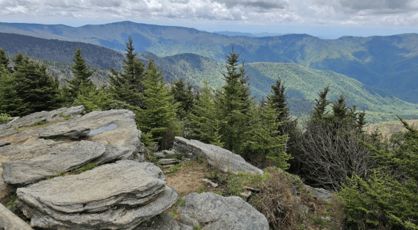 18 Best Hikes In North Carolina: The Top-Rated Hiking Trails To Visit In 2024