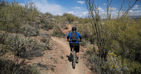 The Black Canyon Trail Runs Through This Arizona Town And It's The Ultimate Outdoor Playground