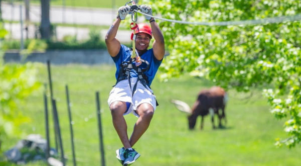 Soar Over The African Safari On This Only-In-Ohio Zipline Adventure