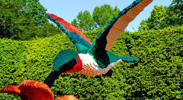 Wander Through A Glorious Garden Made Up Of Thousands Of LEGO Bricks At This Enchanting Exhibition In Ohio