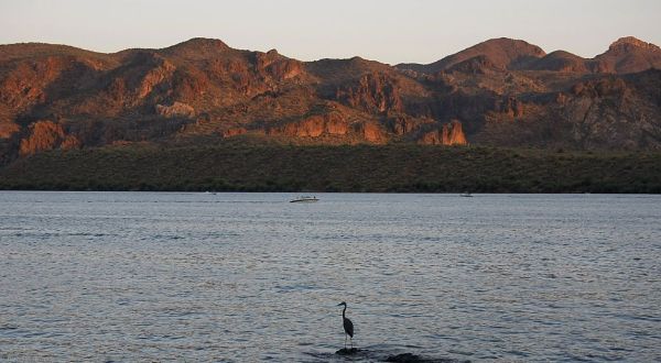 These 20 Gorgeous Lakes In Arizona Are Demanding Your Attention