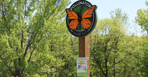 The ADA-Accessible Trail And Pollinator Garden At This Ohio State Park Is Every Kid's Dream Come True