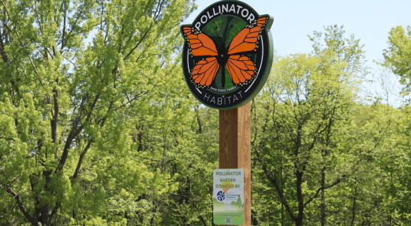 The ADA-Accessible Trail And Pollinator Garden At This Ohio State Park Is Every Kid’s Dream Come True