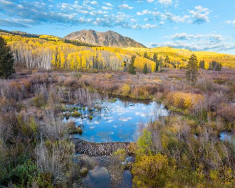 Kebler Pass Is A Magical Place In Colorado That You Thought Only Existed In Your Dreams
