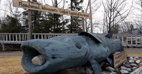 There's A Catfish Festival In Minnesota And It's Just As Wacky And Wonderful As It Sounds