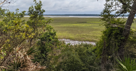 The Easy Georgia Trail With Stellar Marsh Views That You Just Can't Beat