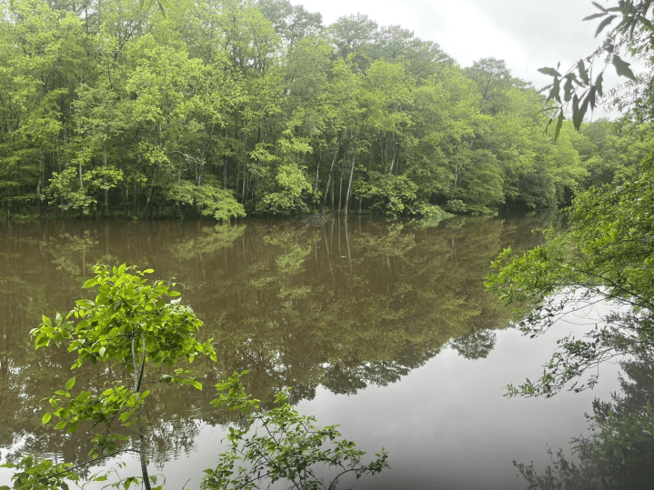 visit all sc state parks