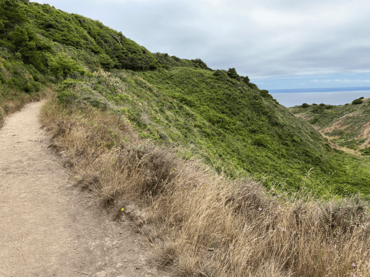 18 Best Hikes In Northern California