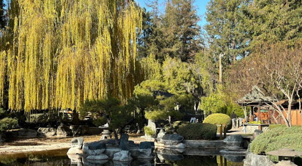 With A History Park And Garden, This Unique Park In Northern California Is Perfect For A Family Day Trip