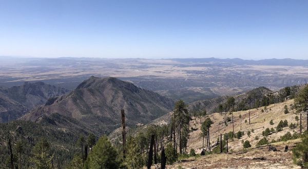 18 Best Hikes in New Mexico: The Top-Rated Hiking Trails to Visit in 2024