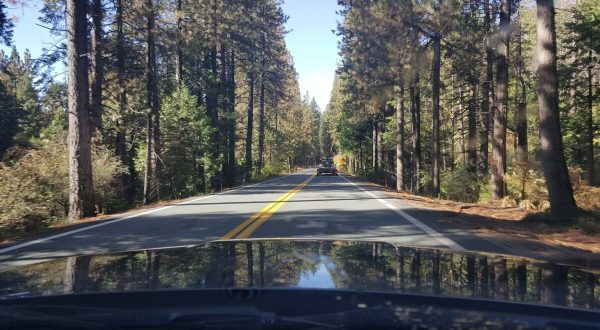 Enjoy A Scenic Drive Along Northern California’s 6 Most Beautiful Backroads