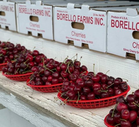 Pick Your Own Cherries At This Charming Farm In Northern California