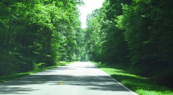 5 Quick Road Trips In Mississippi You Can Take This Weekend