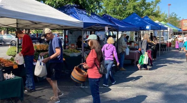 With A Farmer’s Market, Weekly Events, And Seasonal Festival, There’s Nothing Like A Summer Weekend In This Northern California Town