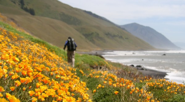 The Most Remote Coastal Region In Northern California Is A Must-Visit This Summer
