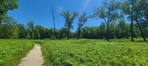Lizard Mound Is The Newest State Park In Wisconsin And It's Incredible
